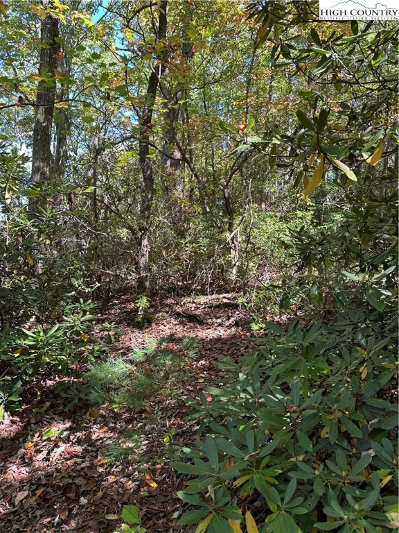 Image number 6 for the current listing