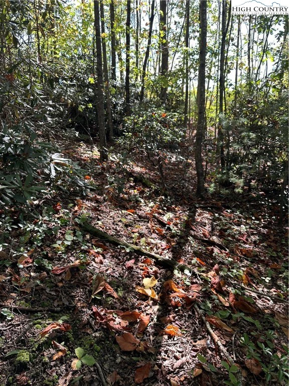 Image number 8 for the current listing