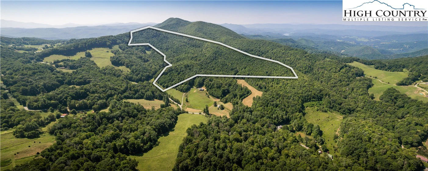 Image number 1 for the current listing