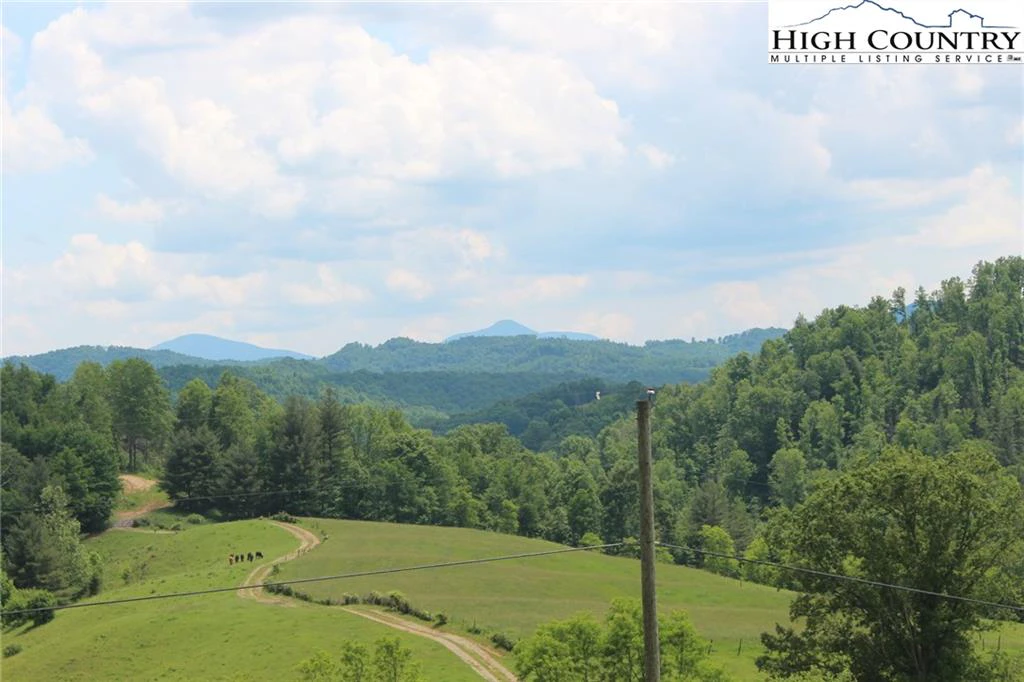 Image number 1 for the current listing