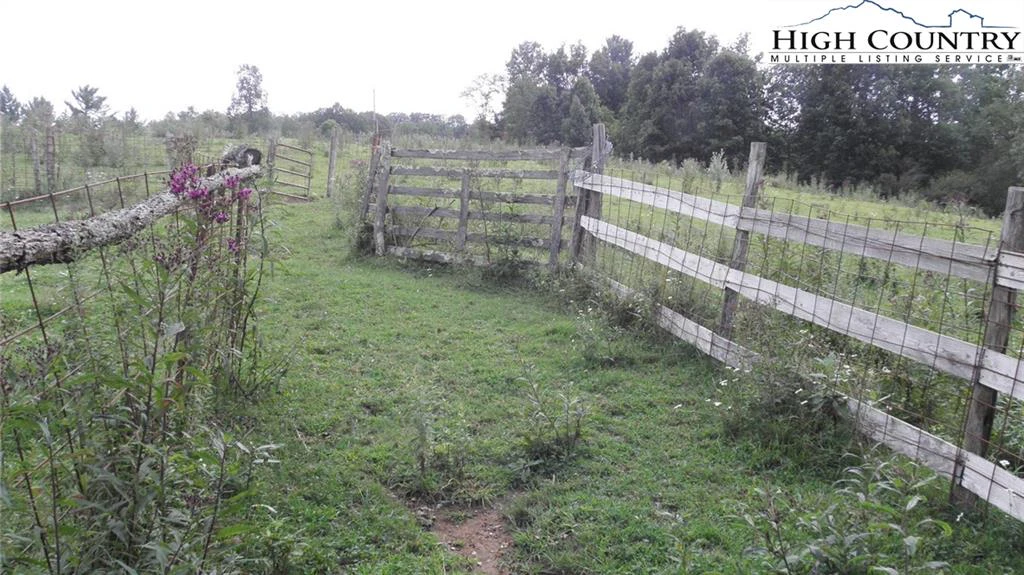 Image number 3 for the current listing