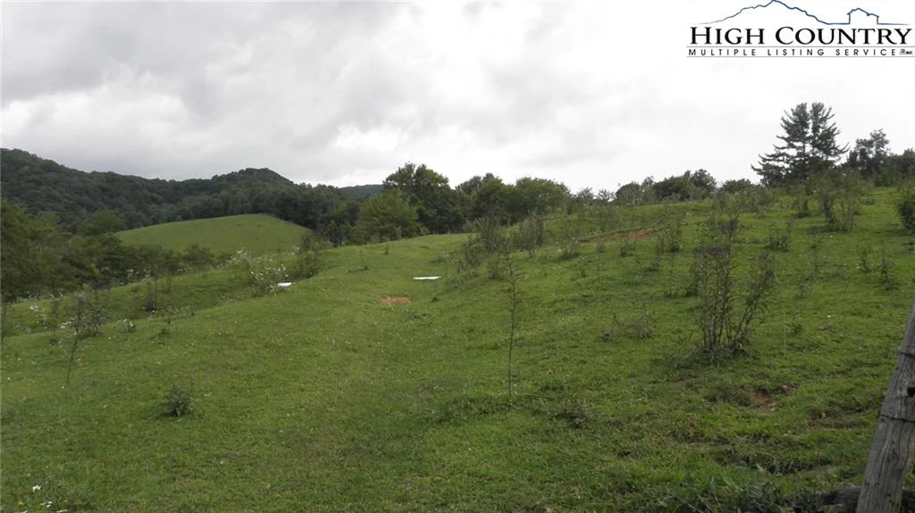 Image number 4 for the current listing