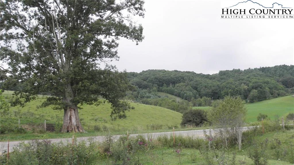 Image number 5 for the current listing