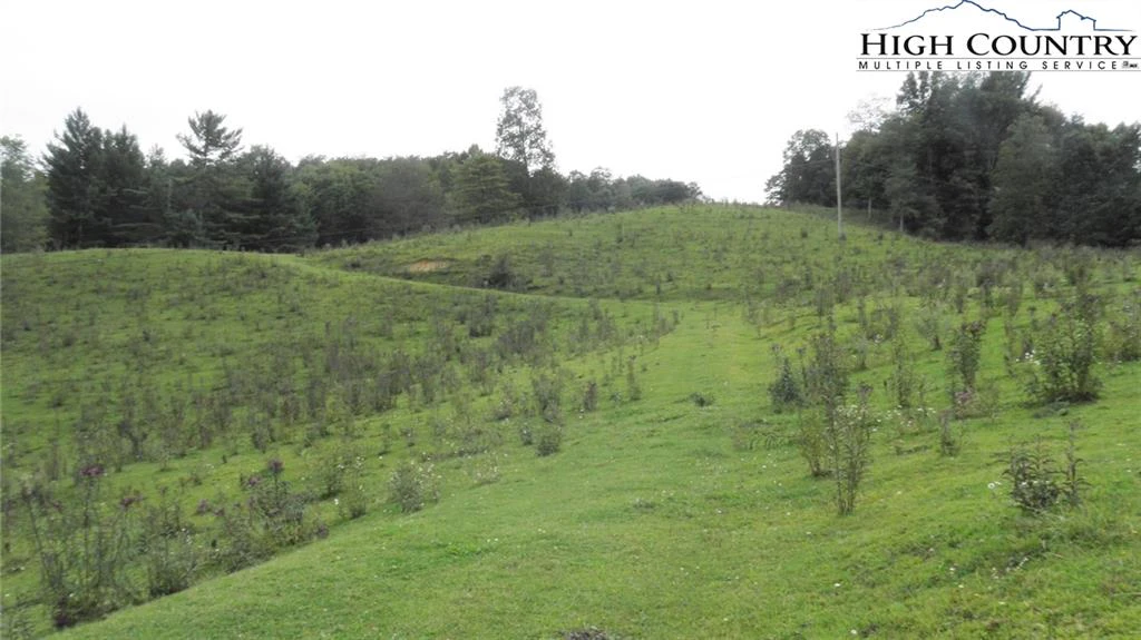 Image number 6 for the current listing