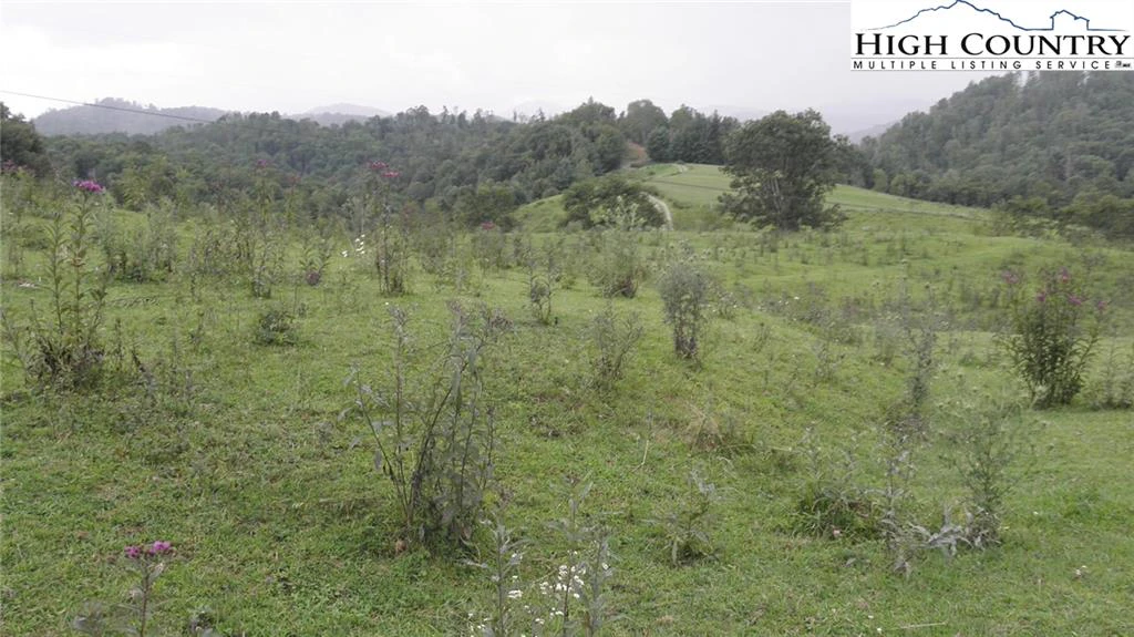 Image number 7 for the current listing