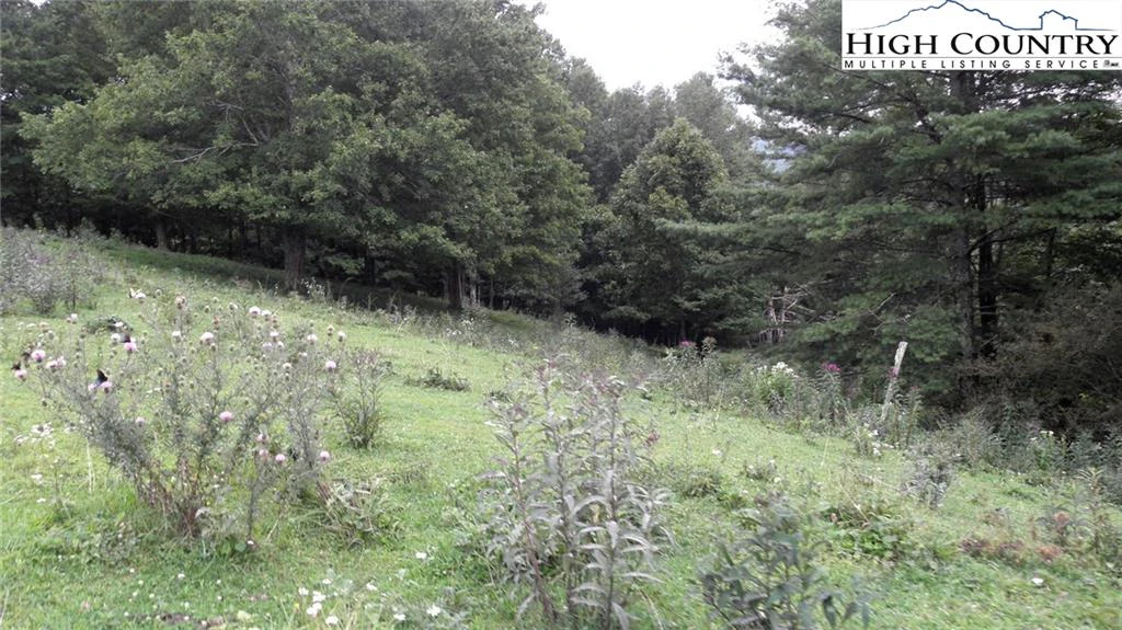 Image number 9 for the current listing