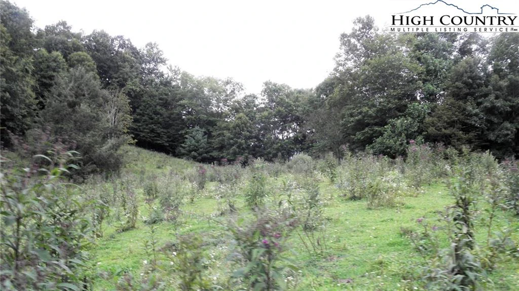 Image number 11 for the current listing