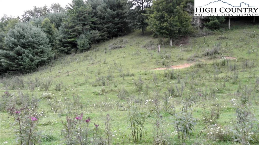 Image number 2 for the current listing