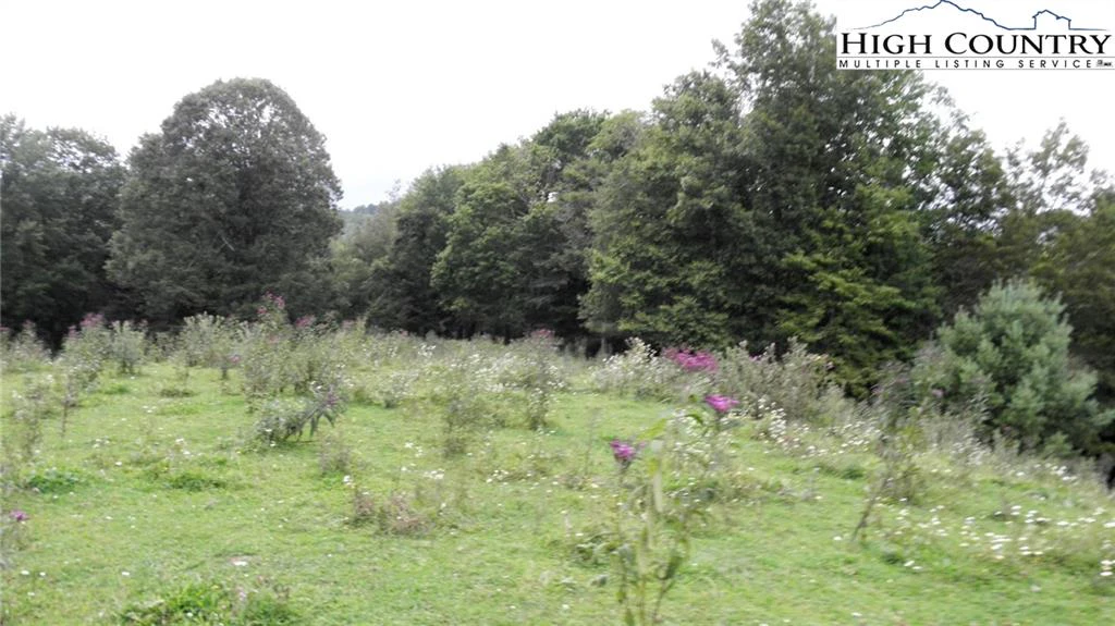 Image number 13 for the current listing