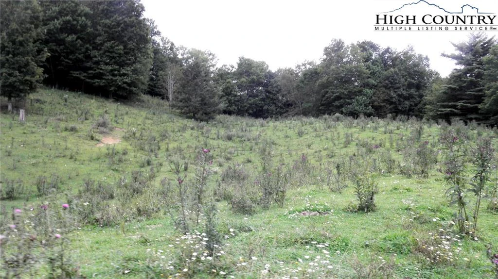 Image number 14 for the current listing