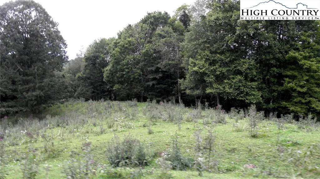 Image number 15 for the current listing