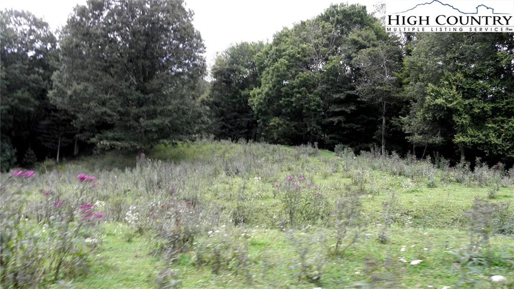 Image number 16 for the current listing