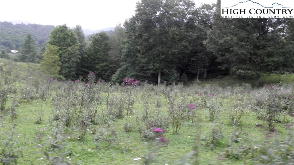 Image number 17 for the current listing
