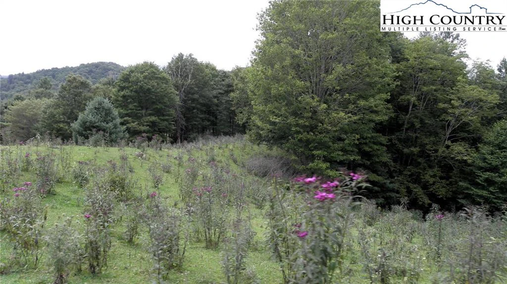 Image number 18 for the current listing