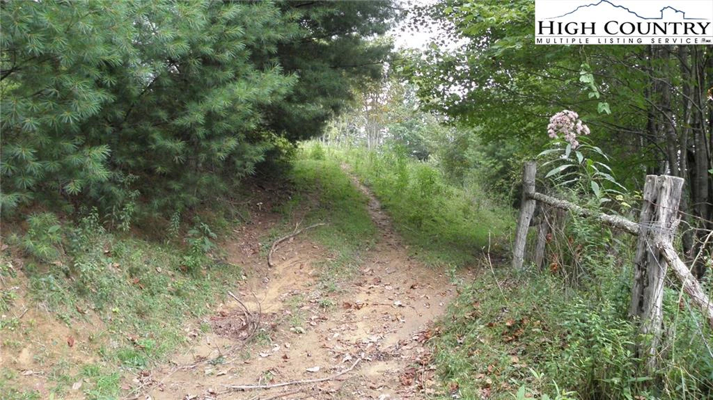 Image number 19 for the current listing