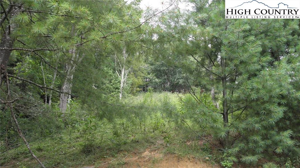 Image number 20 for the current listing