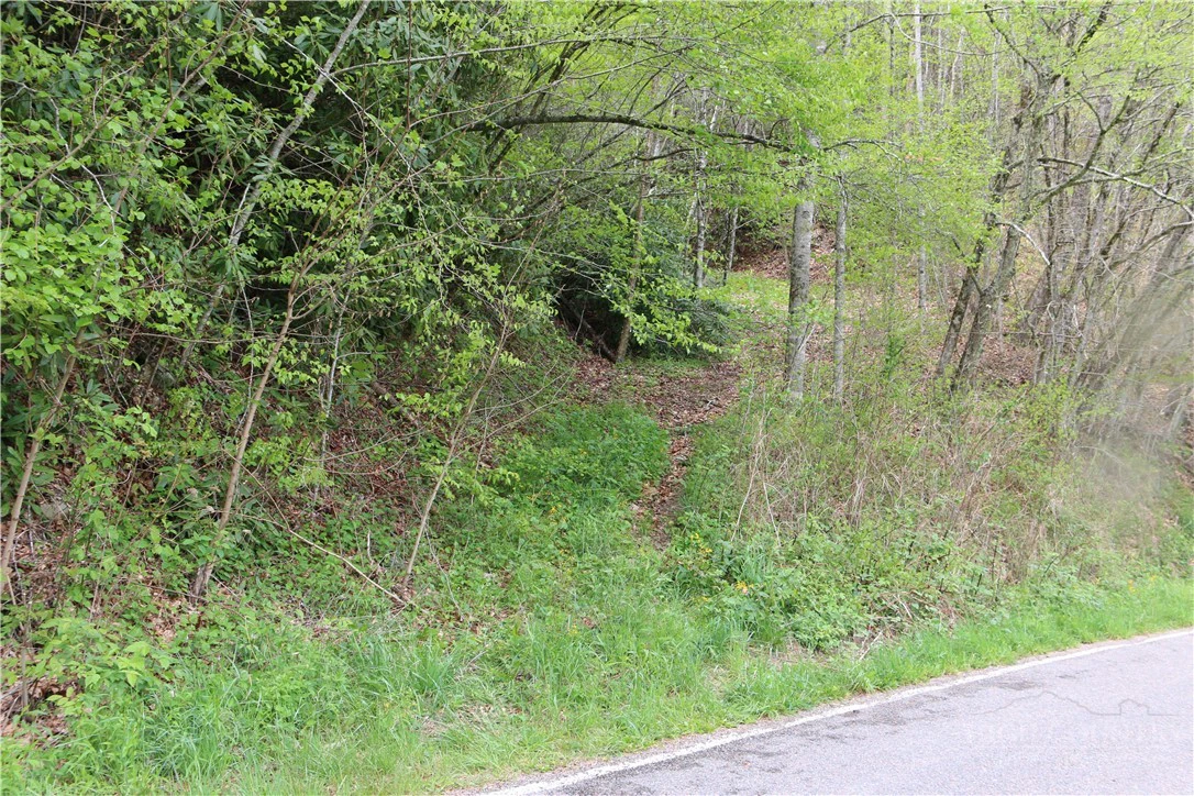 Image number 15 for the current listing