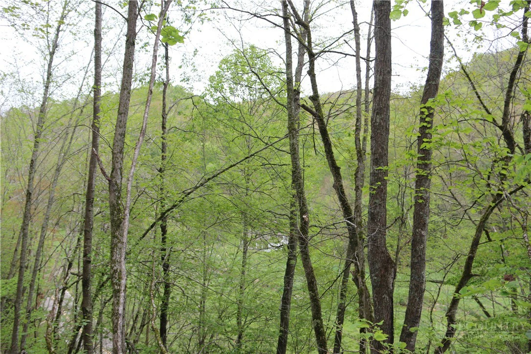 Image number 12 for the current listing