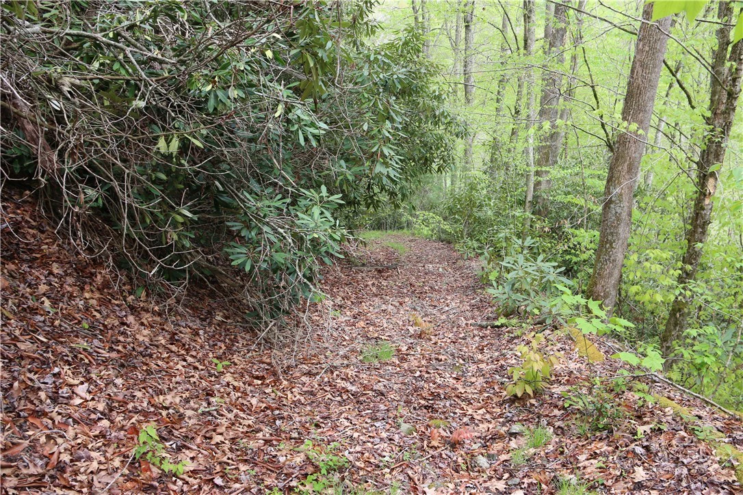 Image number 2 for the current listing
