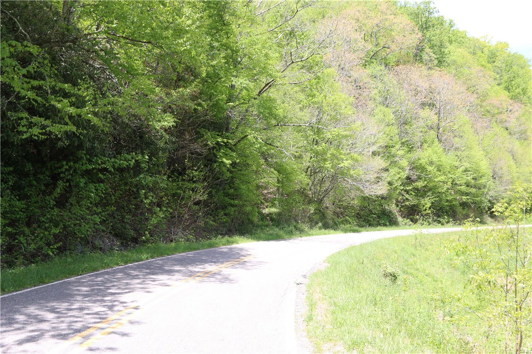 Image number 9 for the current listing