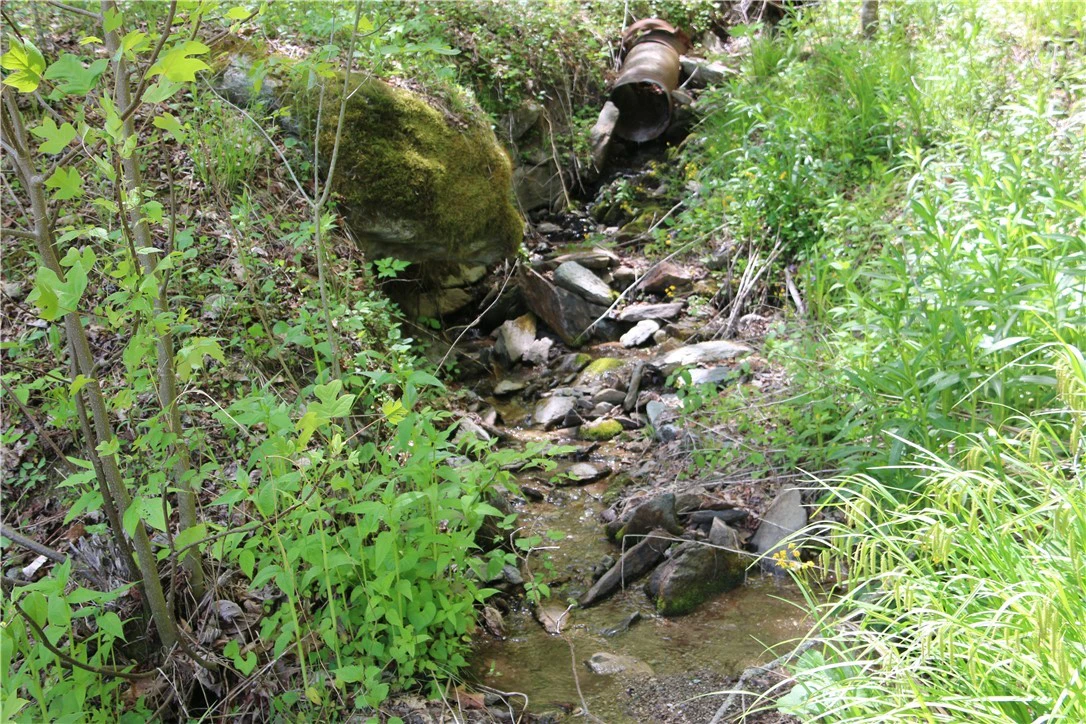 Image number 6 for the current listing