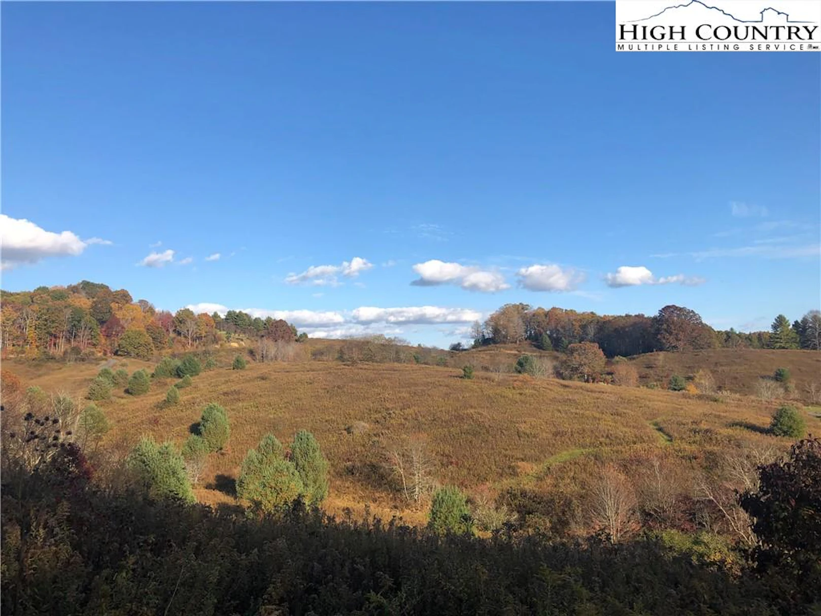 Image number 1 for the current listing