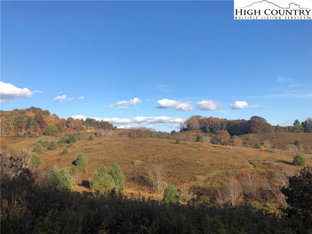 Image number 1 for the current listing