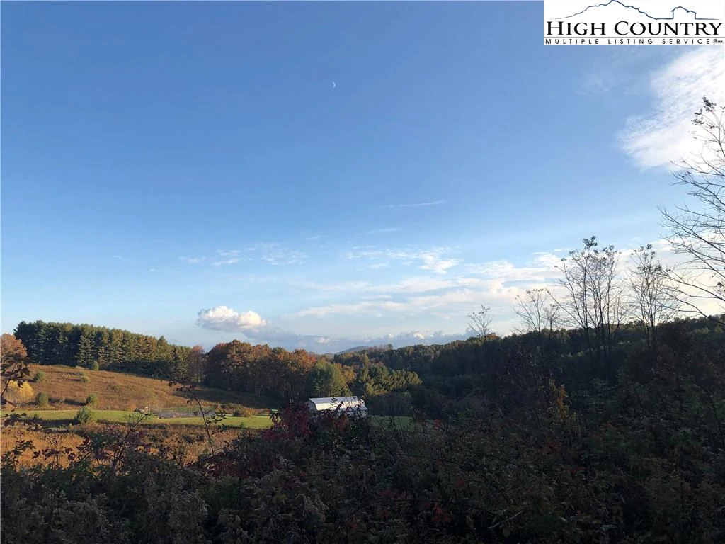 Image number 11 for the current listing