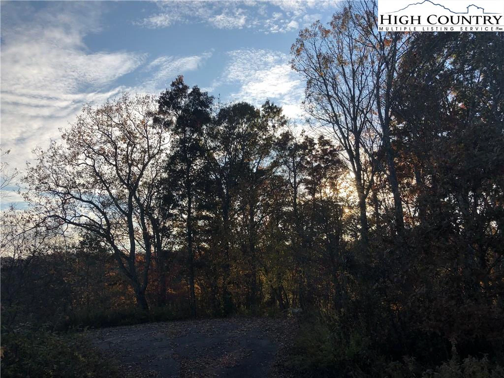 Image number 12 for the current listing