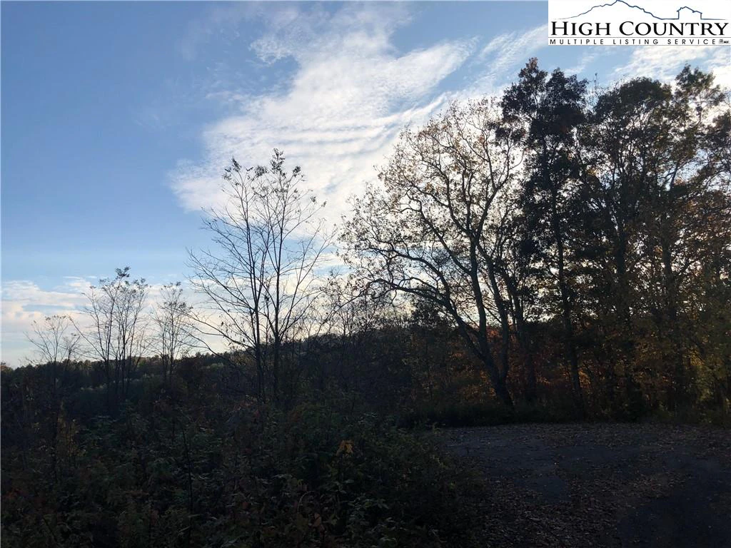 Image number 13 for the current listing