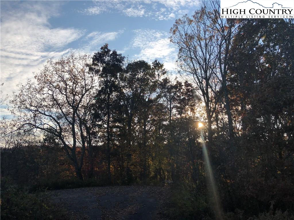 Image number 14 for the current listing