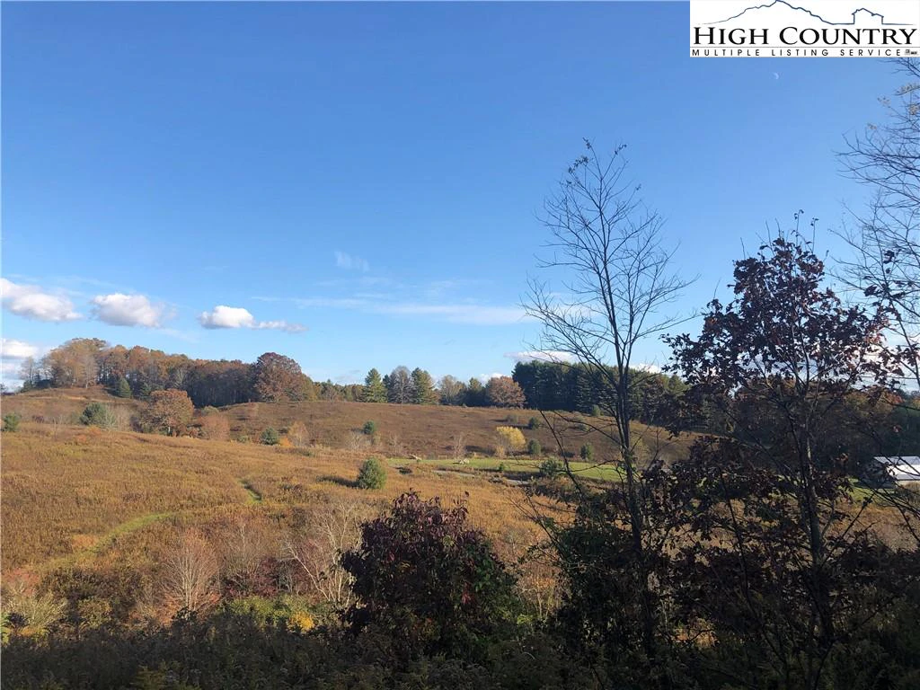 Image number 3 for the current listing