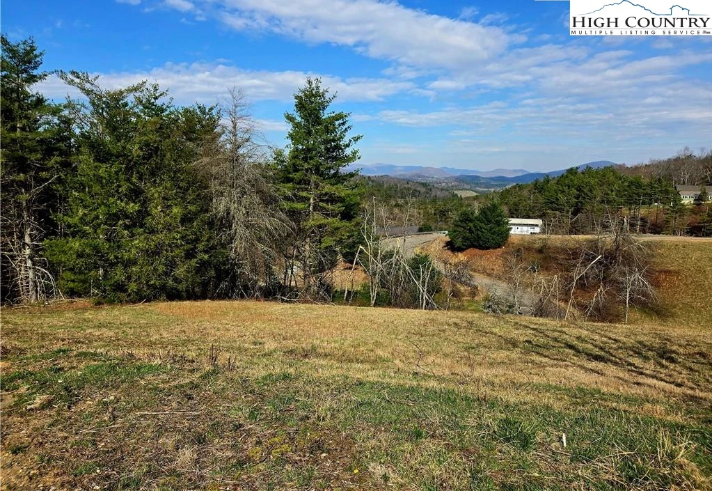 Image number 12 for the current listing
