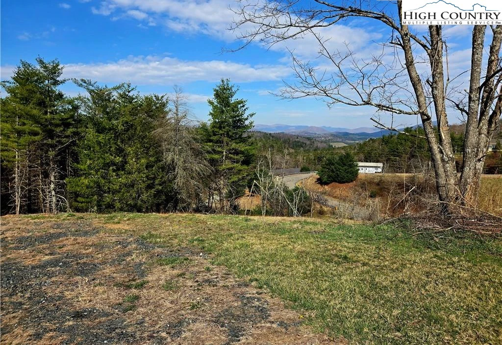 Image number 9 for the current listing