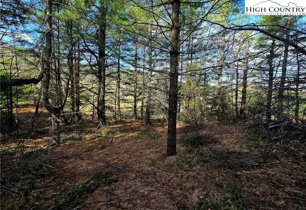 Image number 7 for the current listing