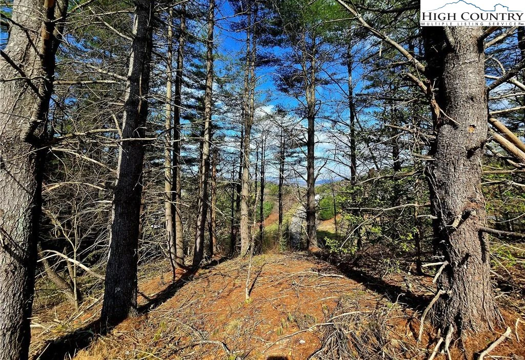 Image number 6 for the current listing