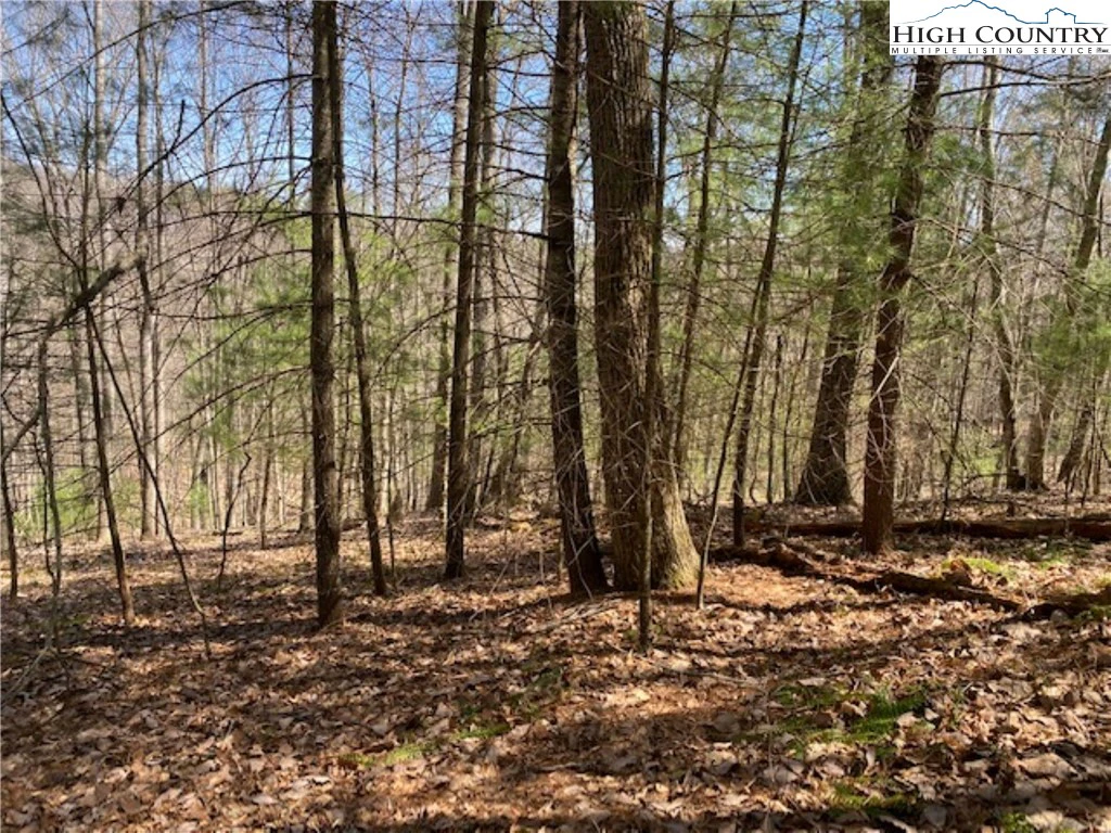 Image number 1 for the current listing