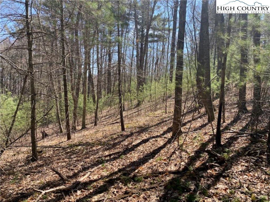 Image number 3 for the current listing