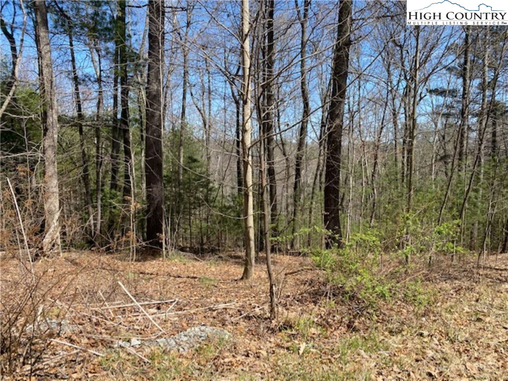 Image number 4 for the current listing