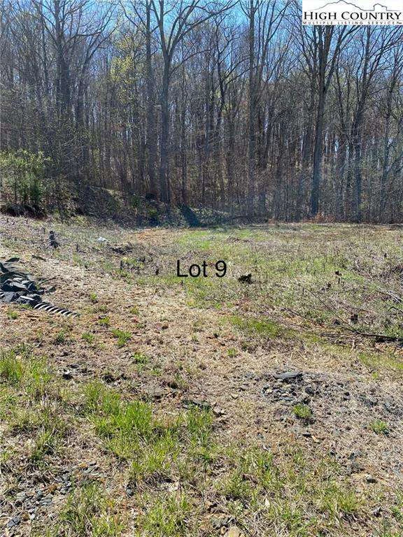 Image number 1 for the current listing