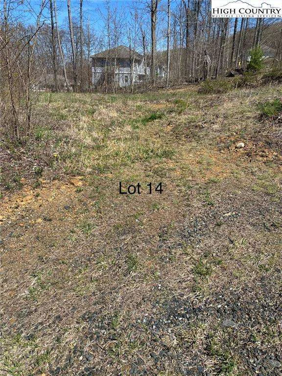 Image number 1 for the current listing