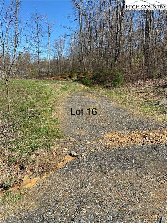 Image number 1 for the current listing