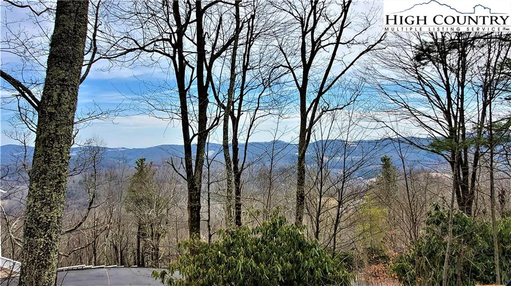 Image number 1 for the current listing
