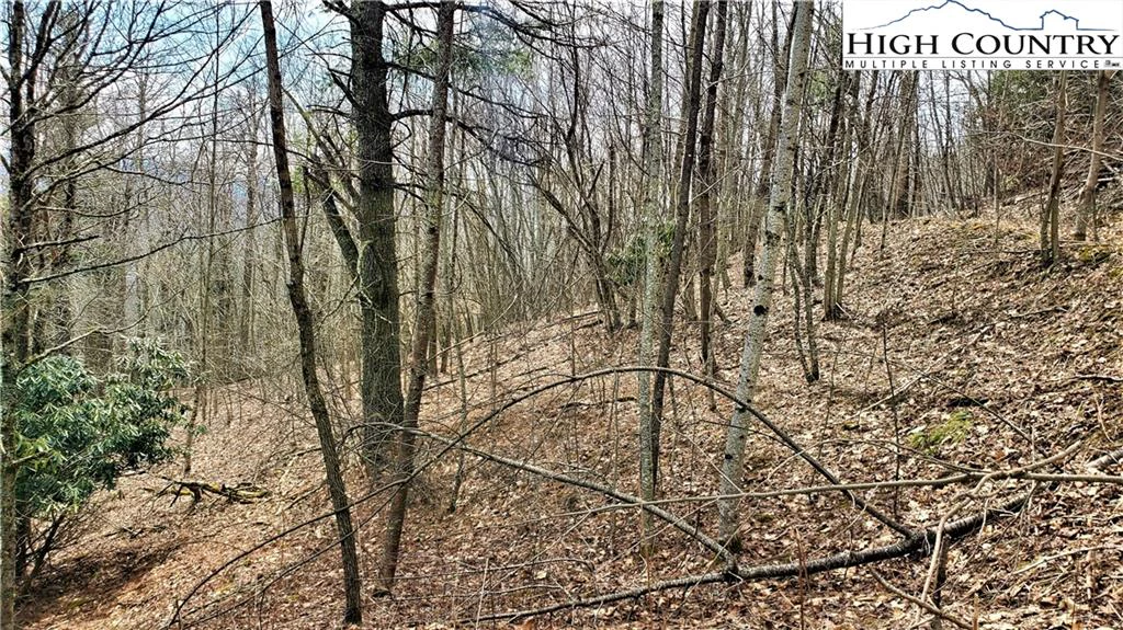 Image number 2 for the current listing