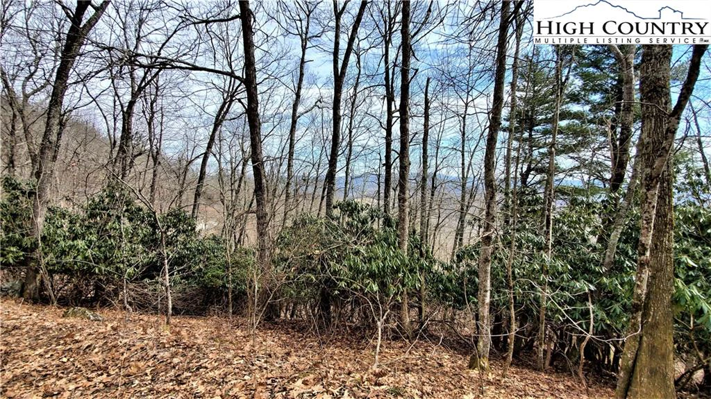 Image number 12 for the current listing