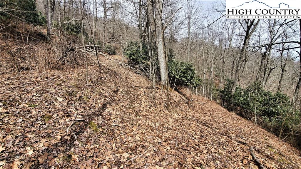Image number 9 for the current listing