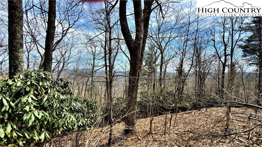 Image number 17 for the current listing