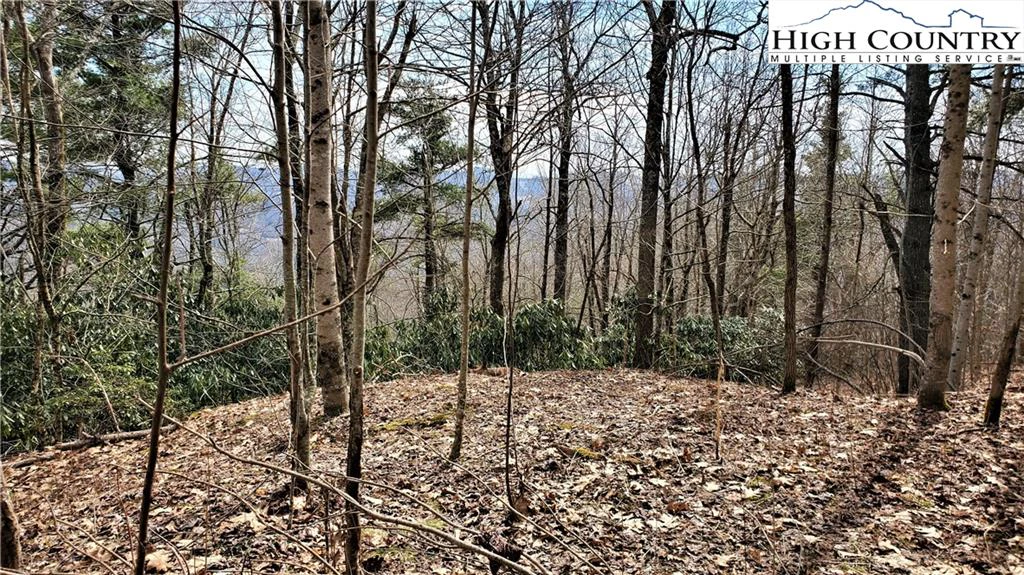 Image number 15 for the current listing