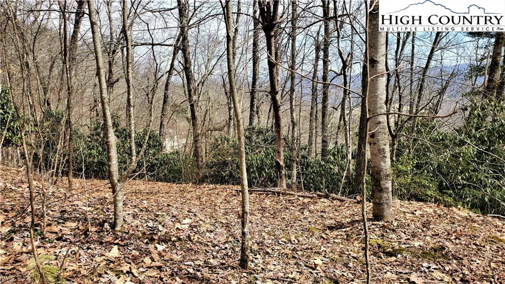Image number 14 for the current listing