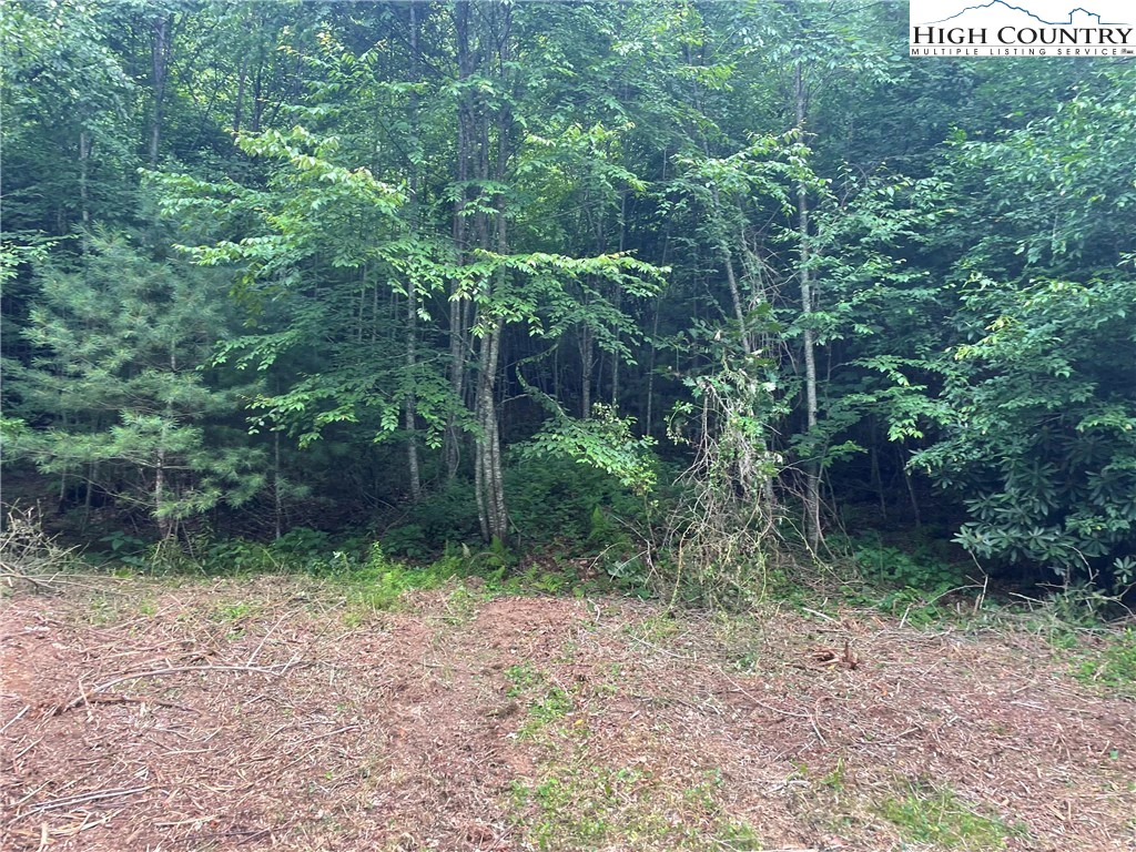 Image number 6 for the current listing